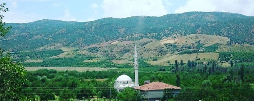 Ömer Doğan Cami
