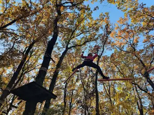 Freedom Adventure Park