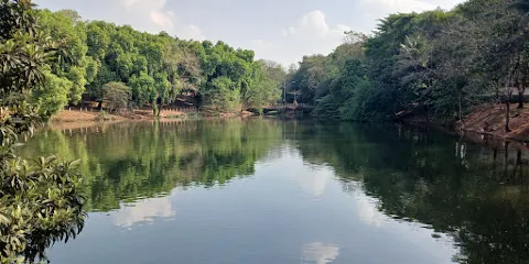 Bosque das Nascentes