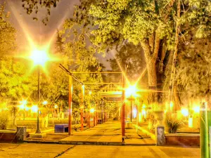 COLONIA ELISA PLAZA CENTRAL