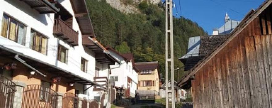 The Fulling Mill of Rucăr