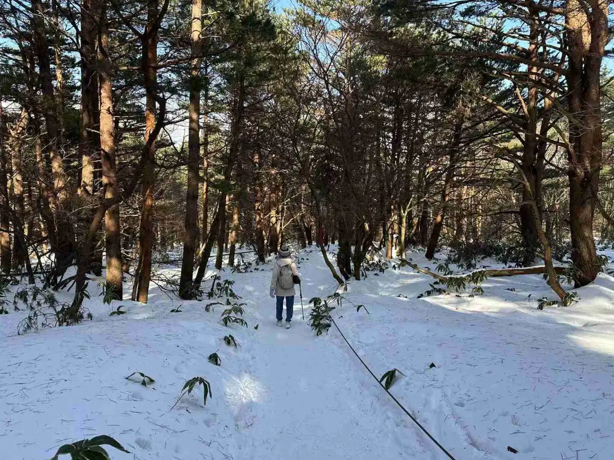 Hallasan National Park