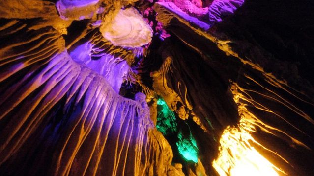 Humanities Ecological Garden