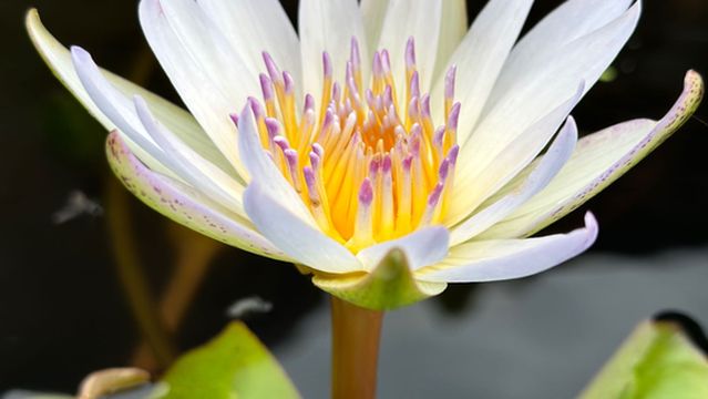 Yinxian Nunnery, Xianju County, Taizhou City