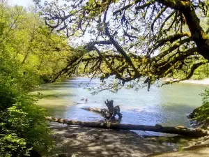 River Meadows County Park
