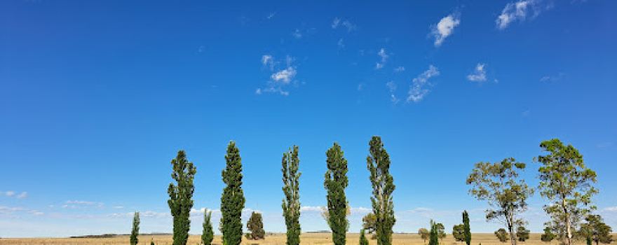 Edenburg Golfclub