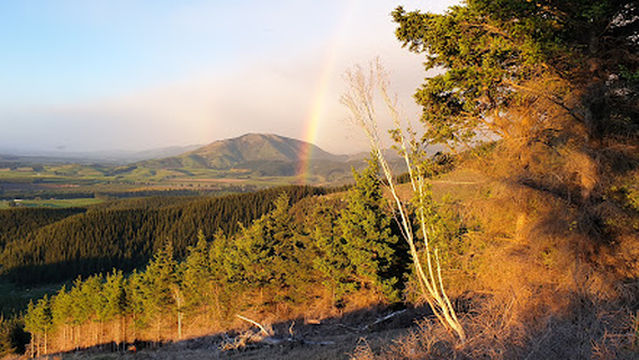 Wooded Gully Campsite