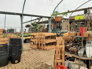 Stonehill (Nurseries & Garden Centre) Ltd