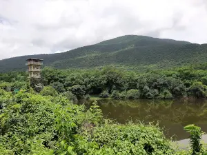 Panchokot mandir