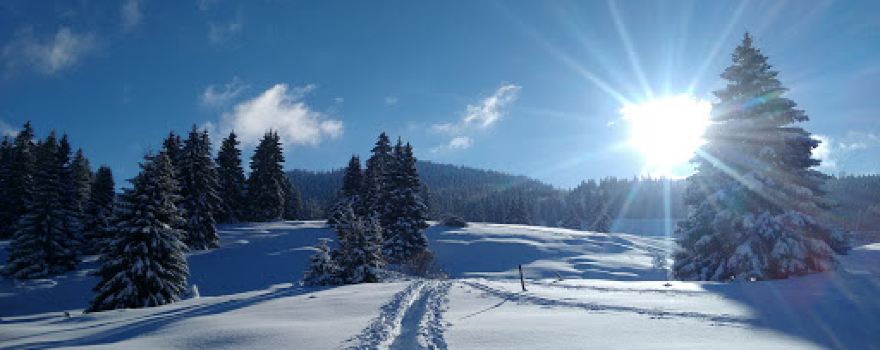 Natur'Odyssée Jura