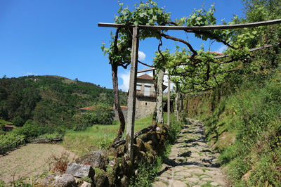 Sistelo Castle