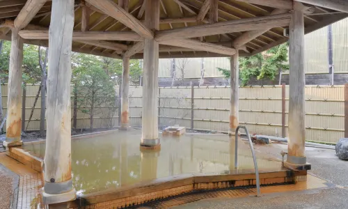 Hot Springs in Hakodate