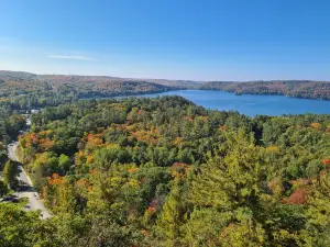 Dorset Lookout Tower