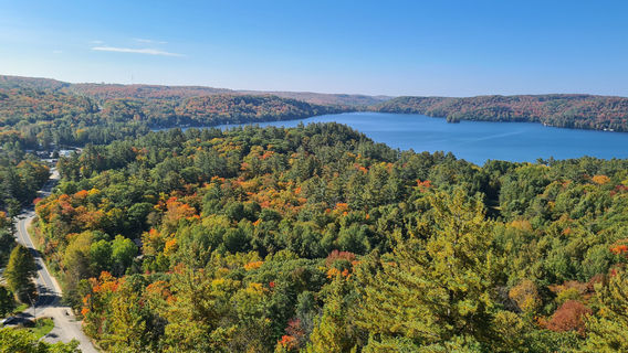 Dorset Lookout Tower