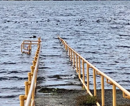 5_Lake Sammamish State Park