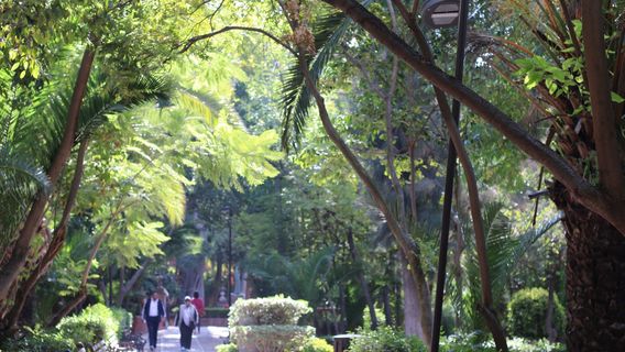 Parque Benito Juarez