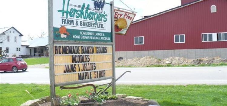 Hershberger's Farm and Bakery