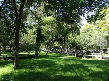 Alameda Hidalgo