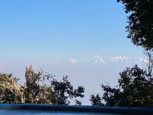 Snow View
