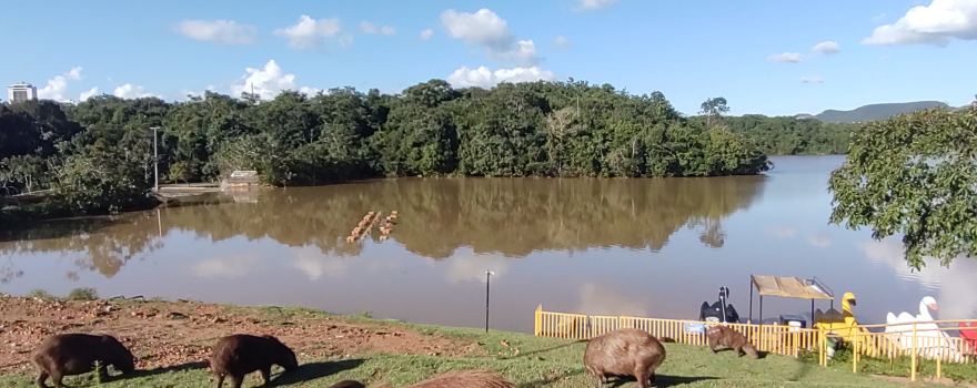 Tocantins