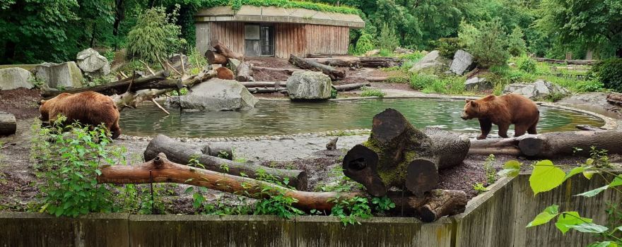 Tiergarten Straubing
