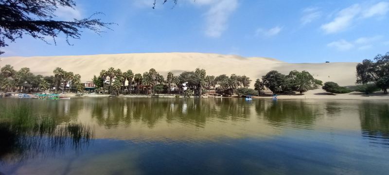 Parque De Las Brujas De Cachiche