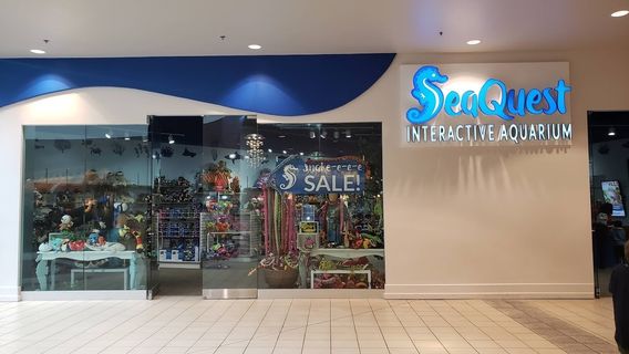 SeaQuest Fort Worth