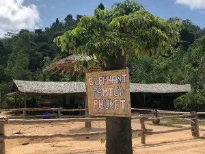 Kerchor​ Elephant​ Family​ Phuket