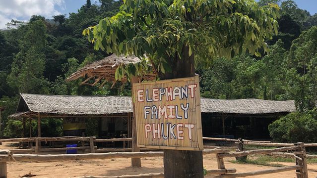 Kerchor​ Elephant​ Family​ Phuket