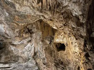 Cave of Bossea