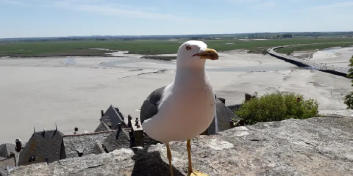 Maison de Bertrand du Guesclin