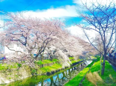 Kawagoe Hikawa Shrine