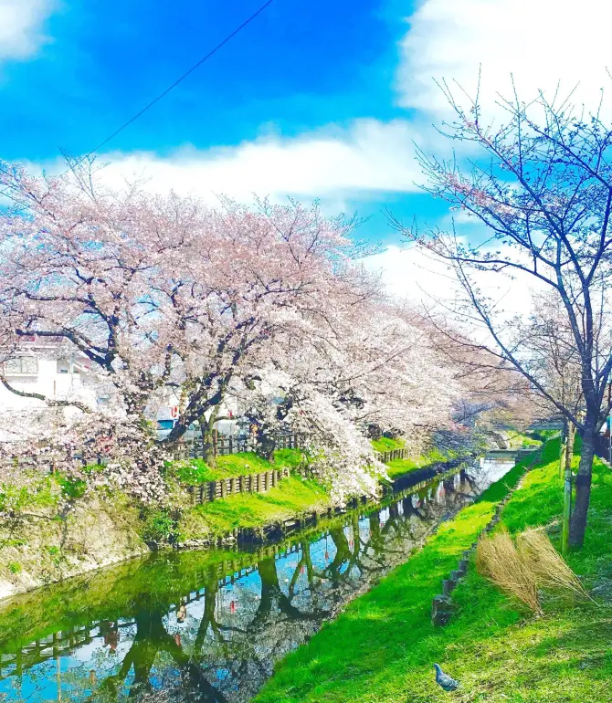 川越市