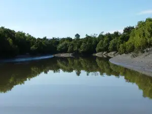 Whitsunday Crocodile Safari