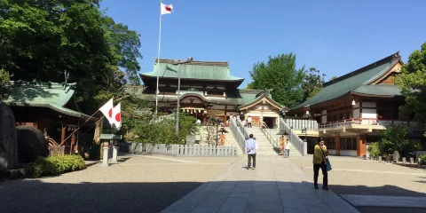 伊豫豆比古命神社 椿禱殿