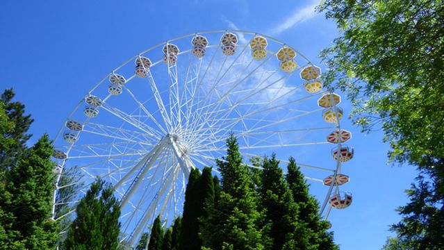Dreamland on the Bear Cave