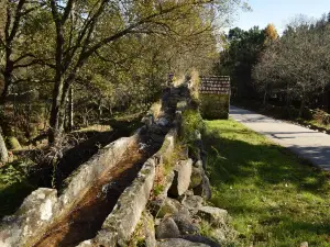 Bioparque