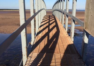 Belhaven Beach