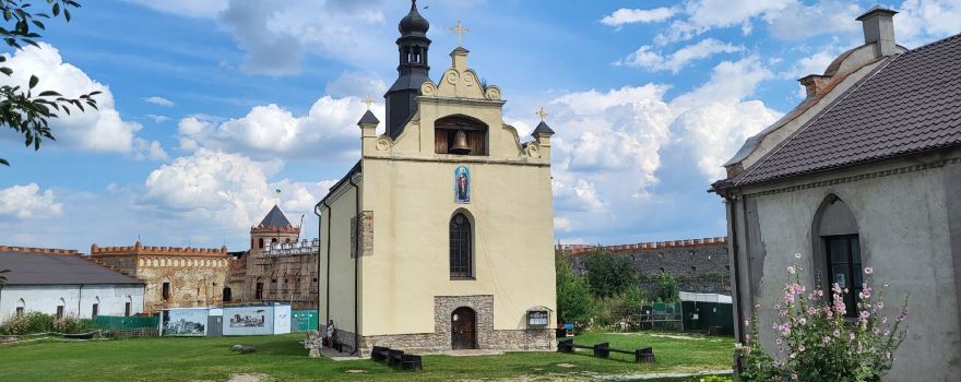 Letychivs'kyi district