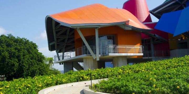 BioMuseo