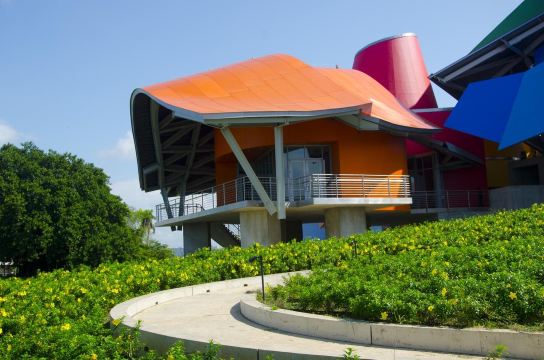 BioMuseo