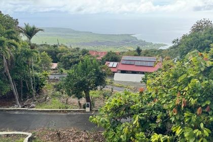 Sacred Grounds Coffee Farm