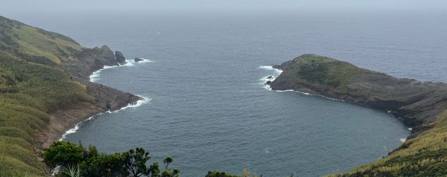 Azores Experiences - Whale Watching & Island Tours