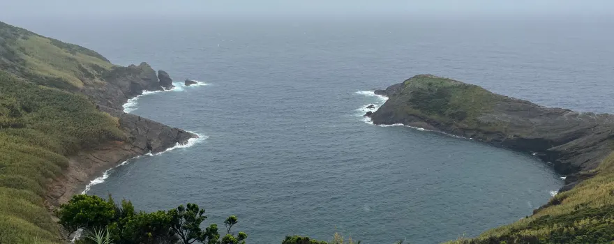 Azores Experiences - Whale Watching & Island Tours