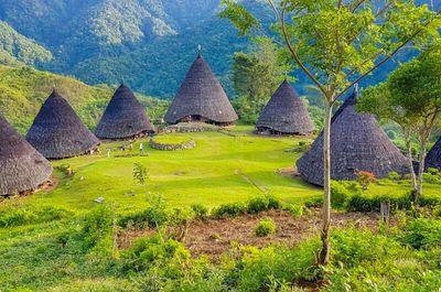 Waerebo Village