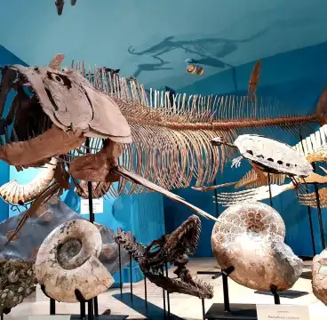 Hotels near World's Largest Smokey Bear