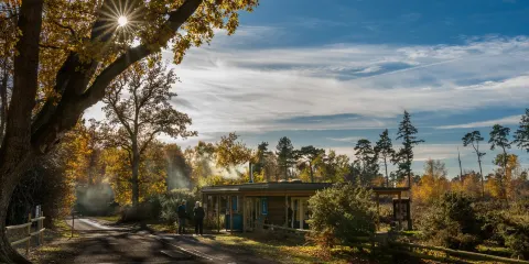 RSPB The Lodge Nature Reserve