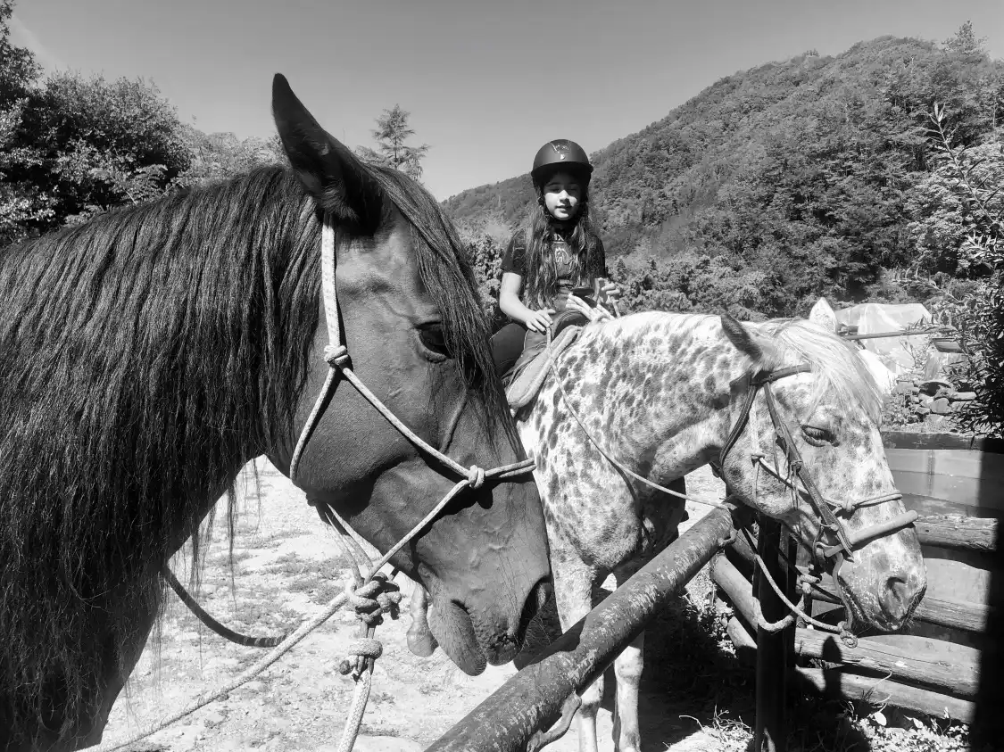 Hotels near Ruscello ranch