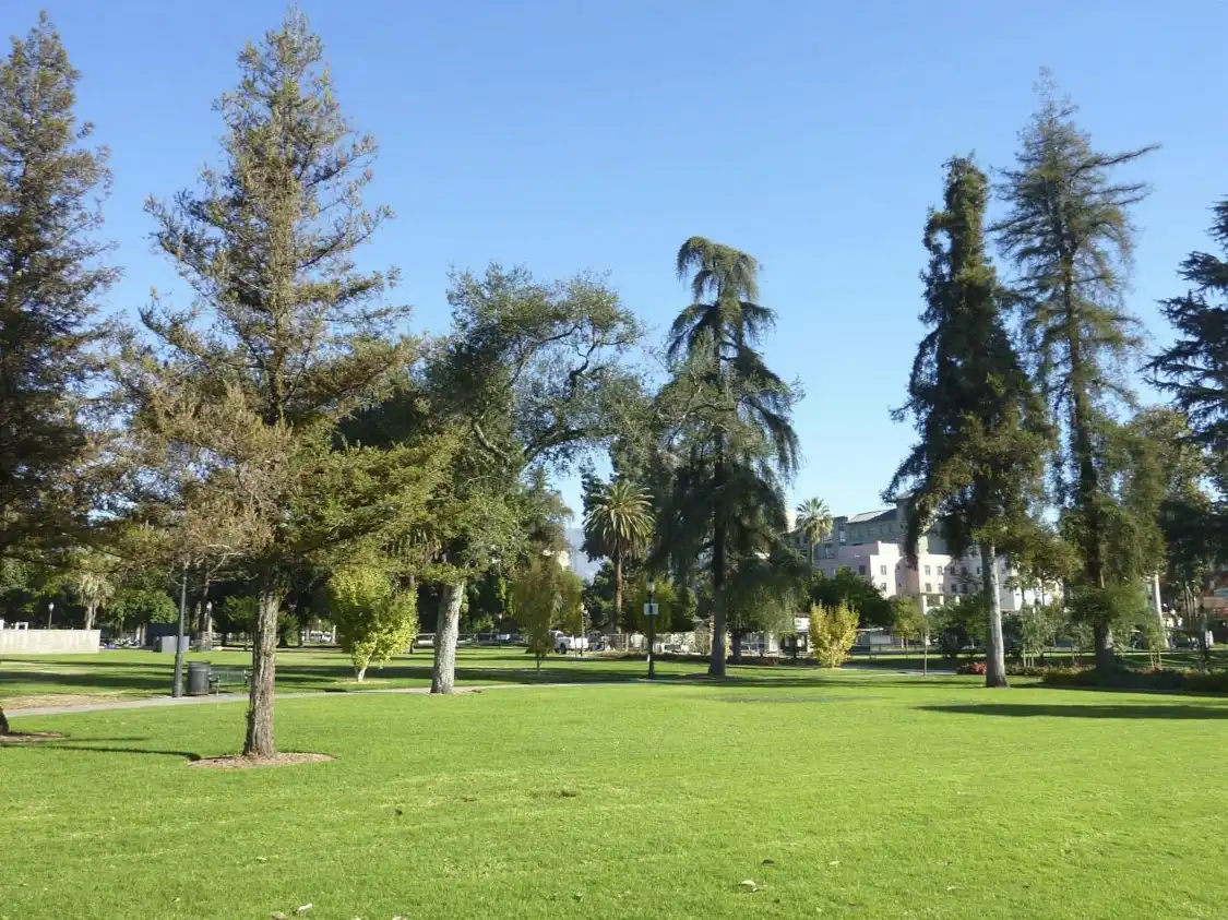 Hotels near Central Park