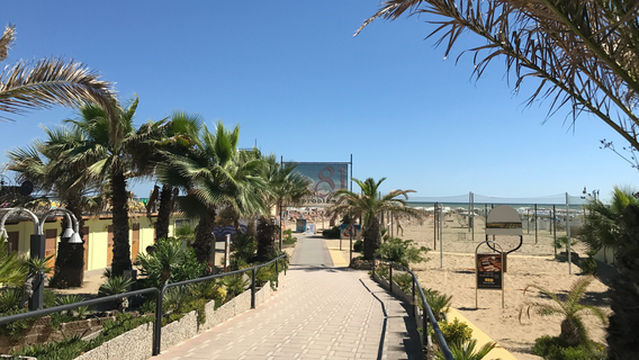 Bagno 81 No Problem Rimini